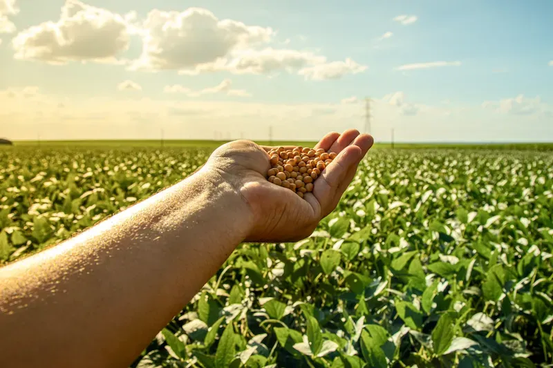 What Is Climate-Smart Agriculture (CSA)?