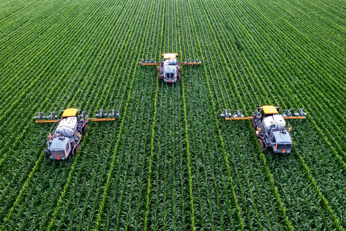 Synthetic vs. Organic Fertilizers: What's The Difference?