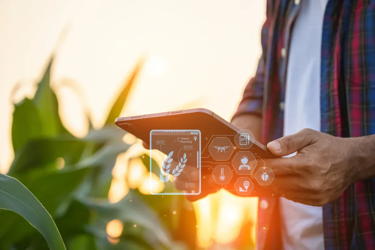 AI in Agriculture: How Artificial Intelligence Is Transforming Farming