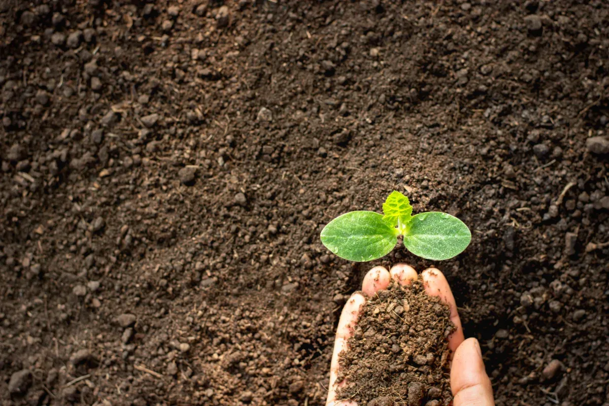 How to Measure Soil Moisture