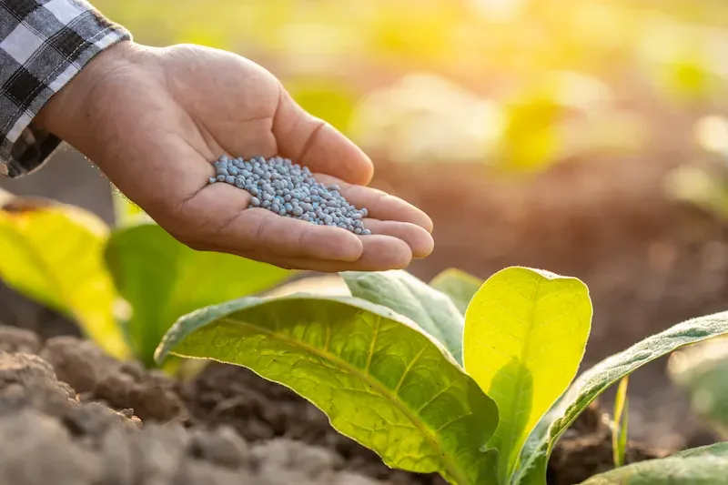 Types and Uses of Nitrogen Fertilizers for Crop Production