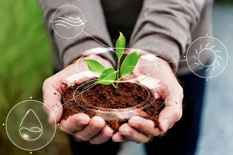 Understanding Regenerative Agriculture