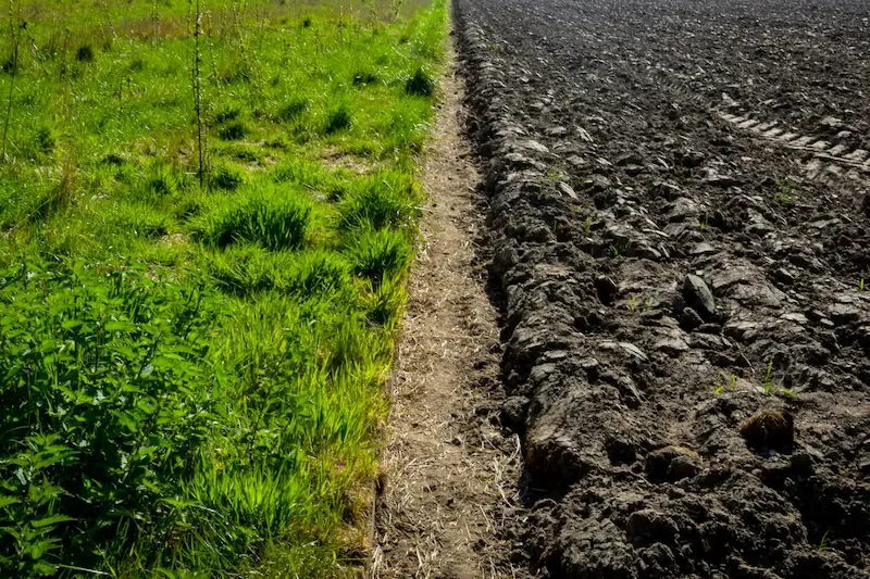 Regenerative Agriculture Practices for Sustainable Farming