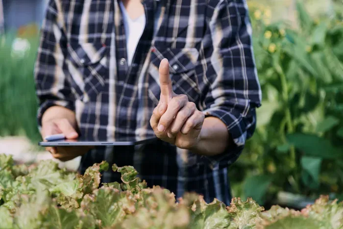 The Issues Facing Modern Agriculture