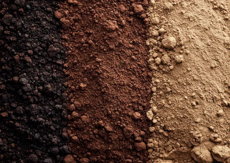 Recognizing the Different Types of Soil
