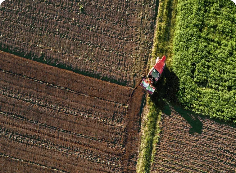 How Can Crop Modeling Influence Planting Decisions?