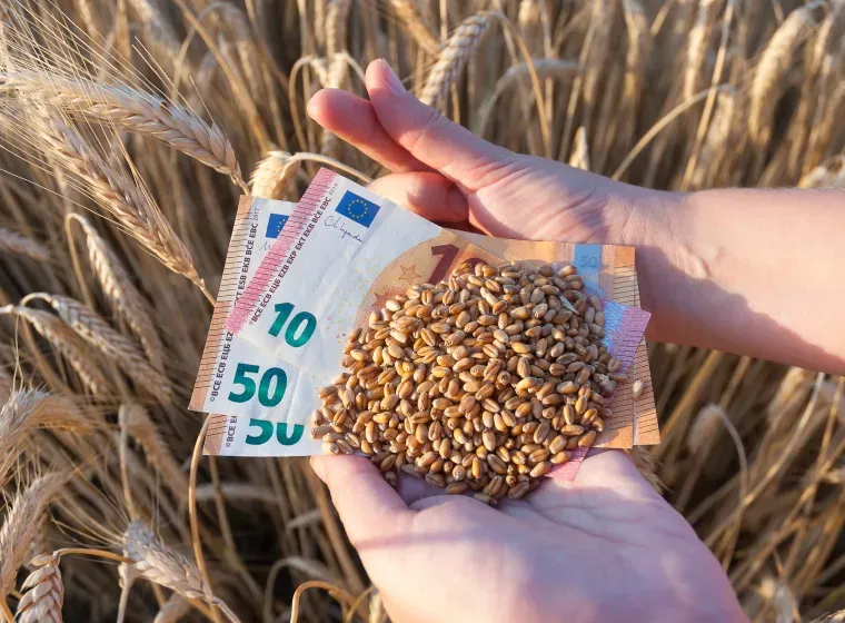 What Cost-Saving Measures Can Be Implemented Without Compromising Farm Productivity?
