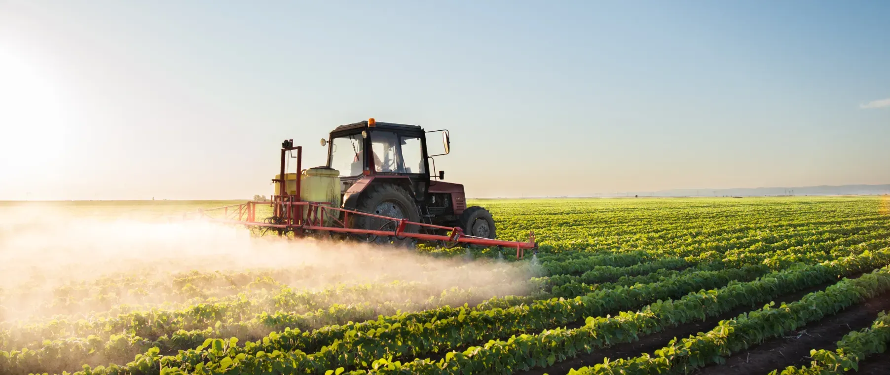 What Are the Different Types of Agriculture