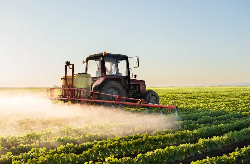 What Are the Different Types of Agriculture