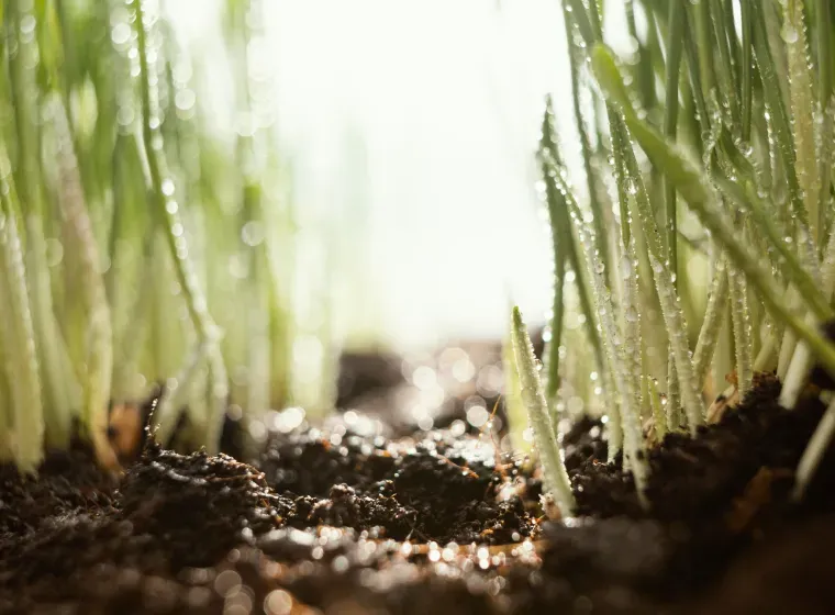 How Does Crop Residue Management Contribute to Soil Conservation Efforts?