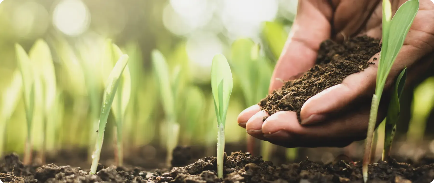 Soil Conservation: Methods and Practices Explained