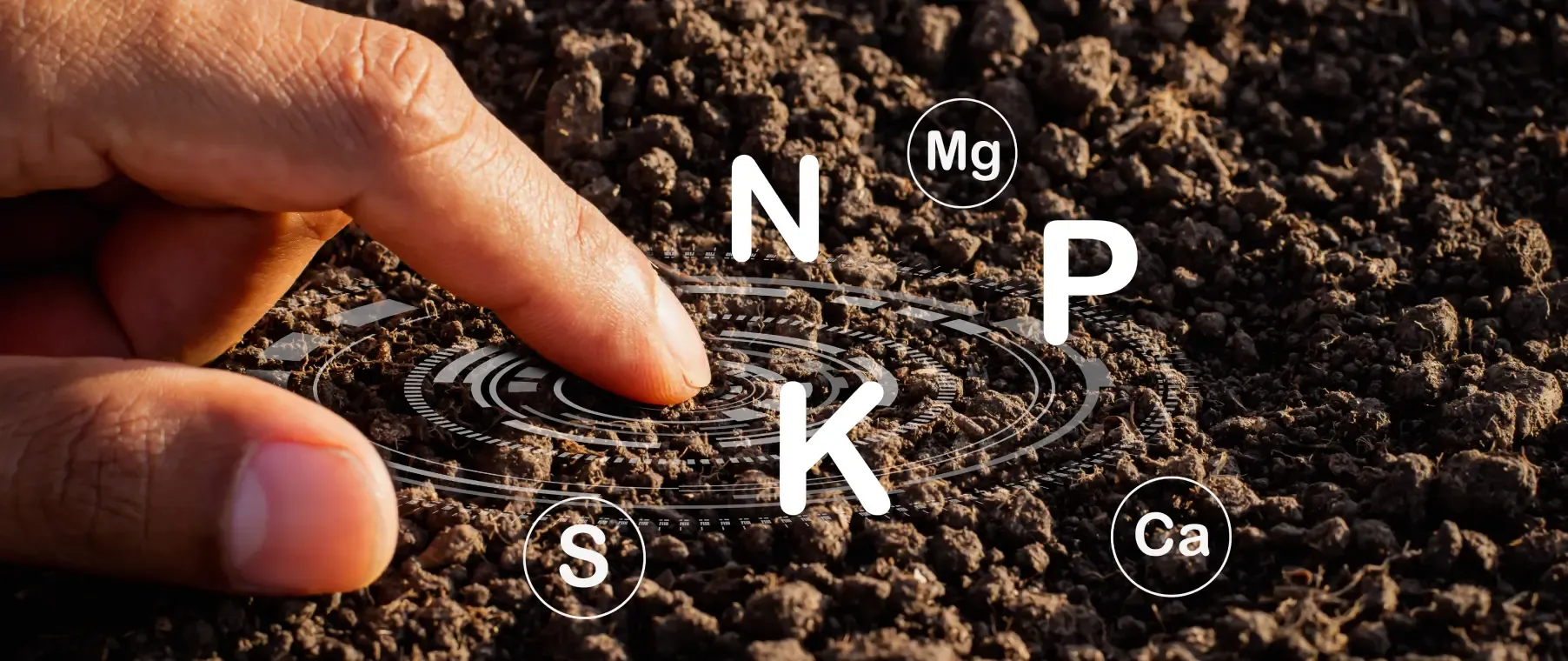 How to Add Nitrogen to Soil for Healthier Crops