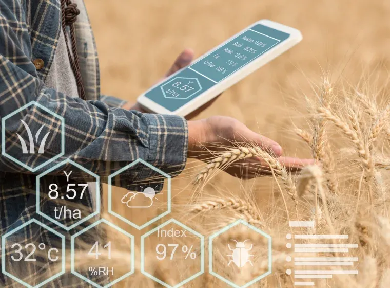 What Are the Disadvantages of AI in Agriculture?