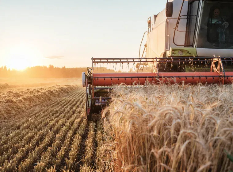 6 Aspects of Farming the Public Misunderstands