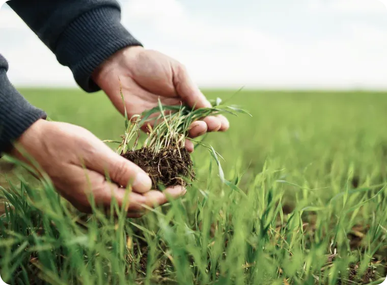 6 Practices for Managing Crop Residue to Improve Soil Health