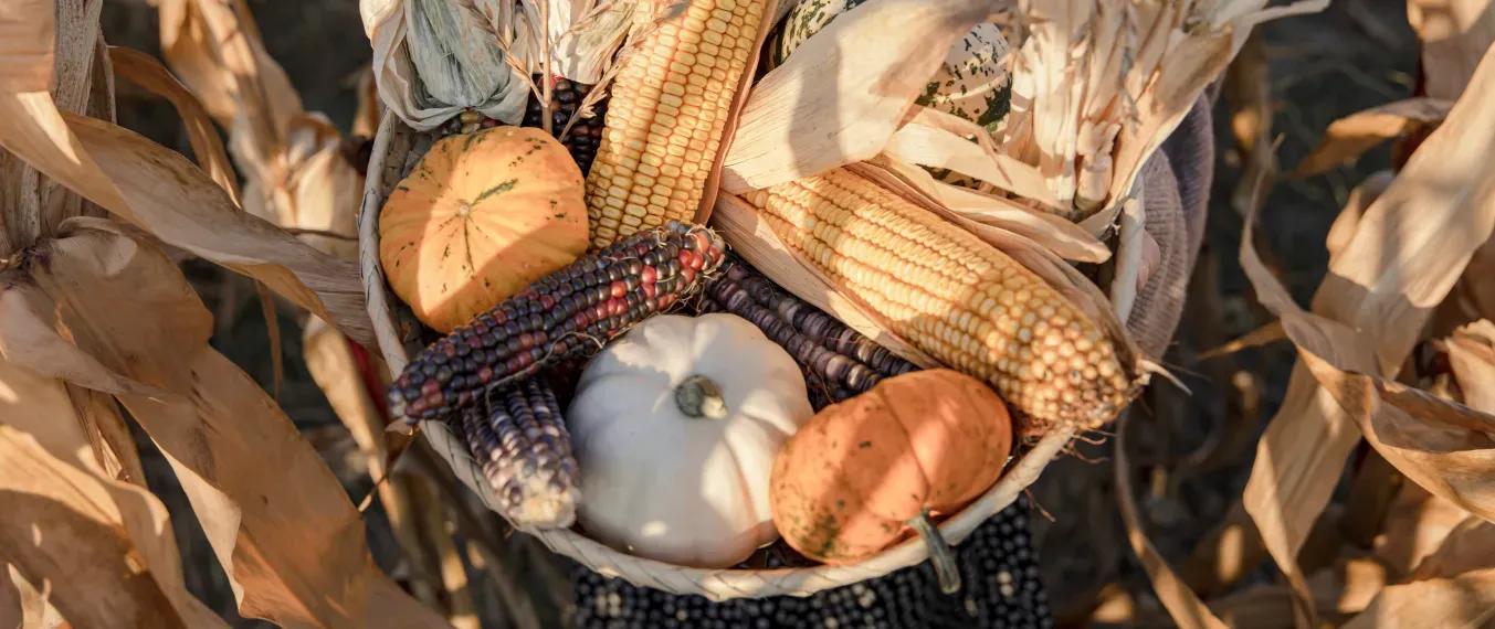 The Most Profitable Crops to Grow
