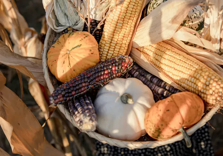 The Most Profitable Crops to Grow