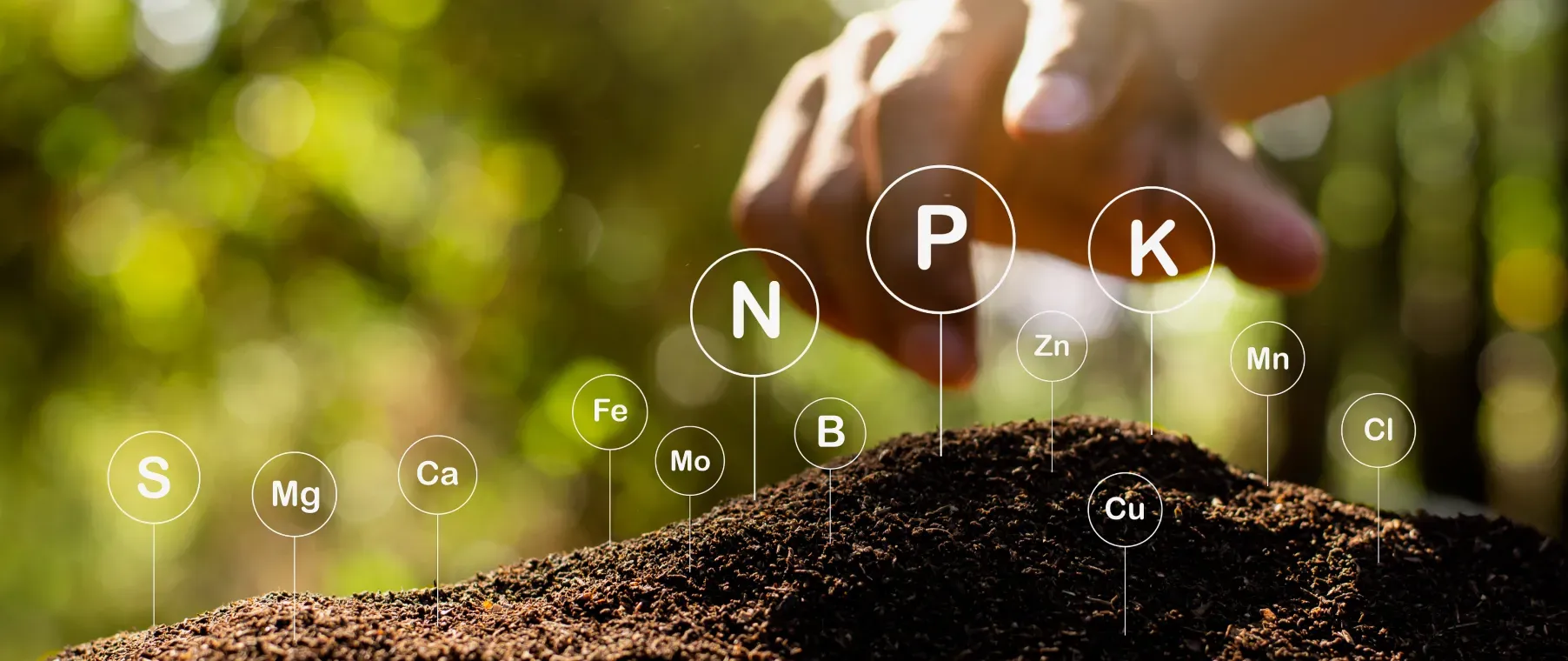 How to Improve Soil Quality