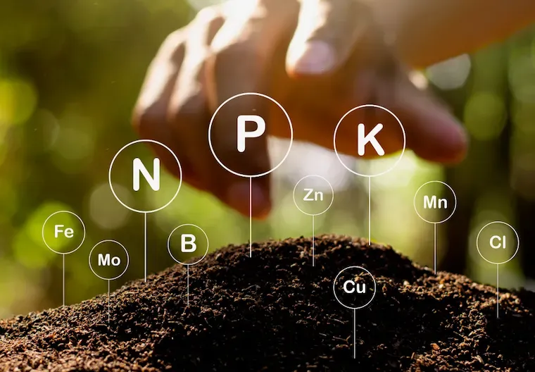 How to Improve Soil Quality