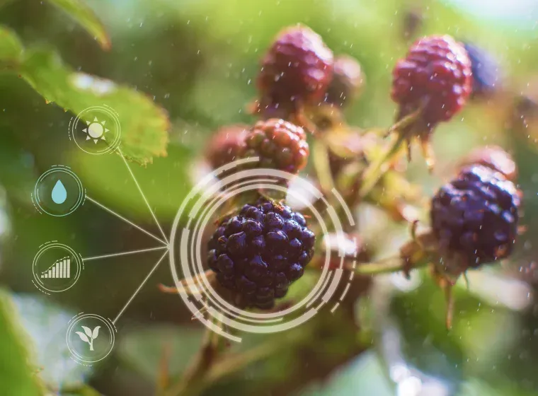 What Innovative Types of AI Are Transforming Agriculture Today?
