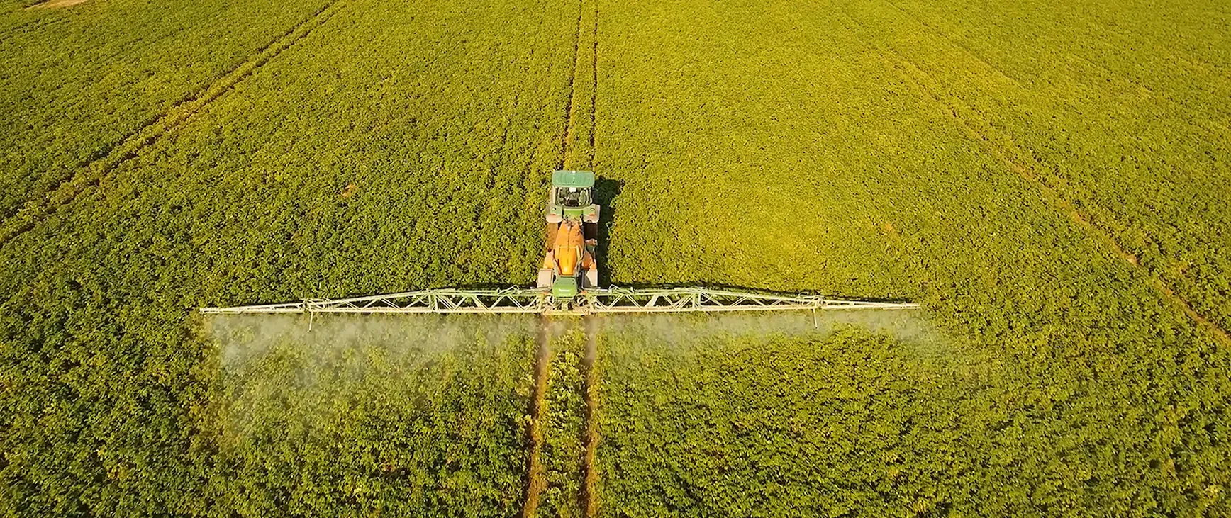Tipos de Fertilizantes: Guía Completa