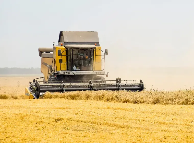 6 Tips for Determining the Optimal Time to Harvest Crops