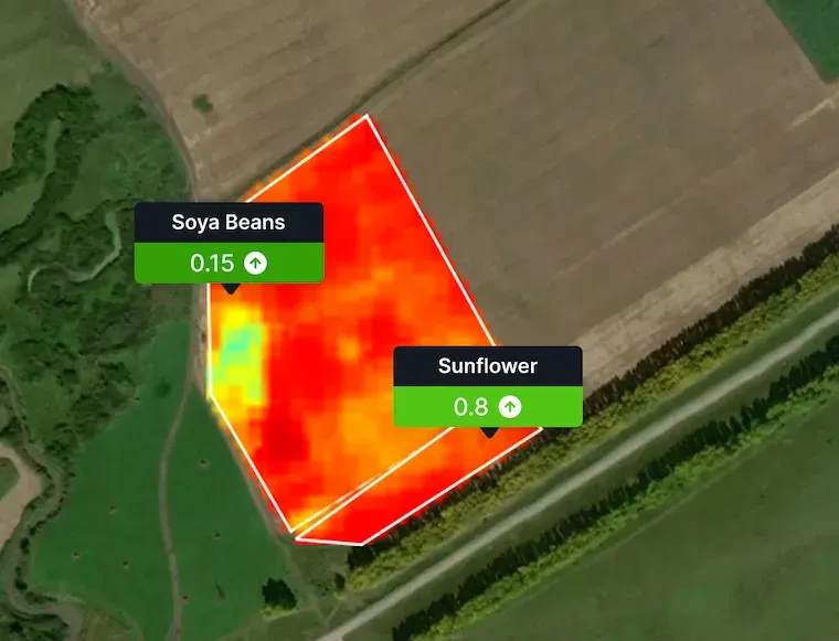 NDVI Explained: Understanding the Normalized Difference Vegetation Index
