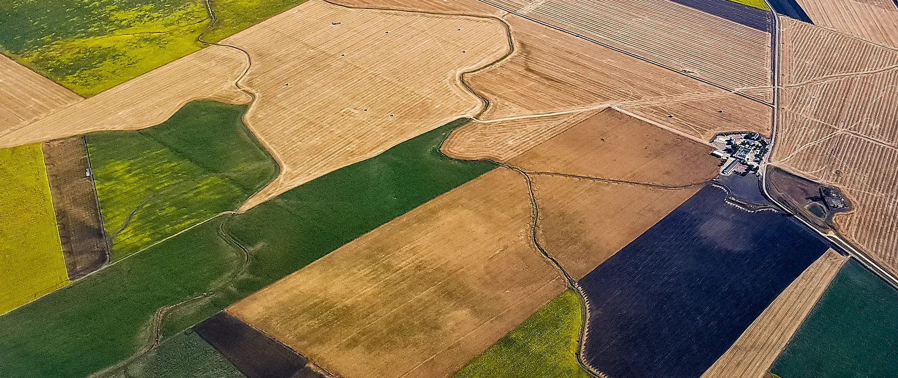 How to Monitor Crop Health Using Satellites