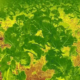 Moldova